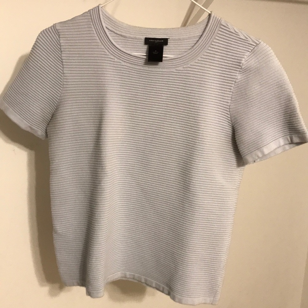 Small Ann Taylor T